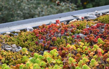 the cost of Hooton Levitt green roof installation