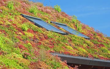 Hooton Levitt living roof systems