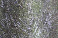 Hooton Levitt fibreglass roof work